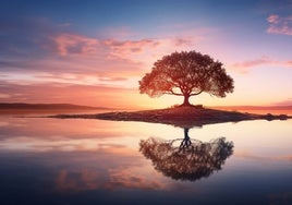 Cómo lograr una felicidad imperturbable con serenidad y calma mental