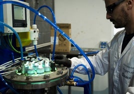 La savia que alimenta la innovación en cada rincón de España