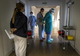 Hospitalizado grave en Valencia un hombre con la rabia contraída en Etiopía por mordedura de un perro