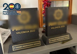 Golpe policial a la «mejor» marihuana de Valencia que cultivaban un padre y sus hijos en un chalé