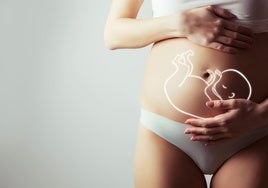 «La mayor discriminación de la mujer es por ser madre»