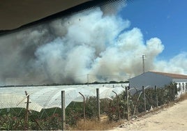 Las investigaciones sobre la sucesión de incendios en Huelva apuntan a que fueron intencionados